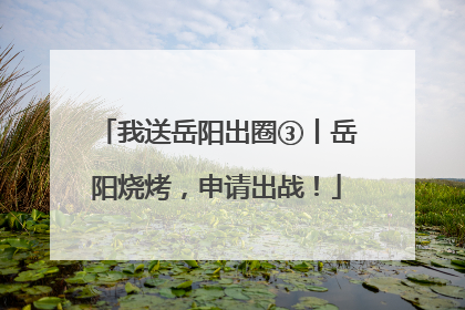 我送岳阳出圈③丨岳阳烧烤，申请出战！
