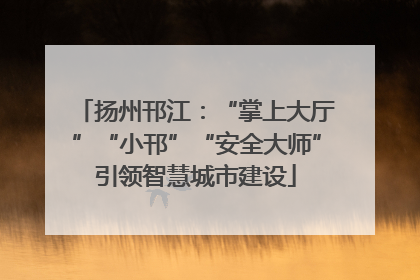 扬州邗江：“掌上大厅”“小邗”“安全大师”引领智慧城市建设