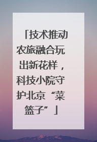 技术推动农旅融合玩出新花样，科技小院守护北京“菜篮子”