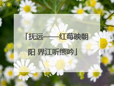 抚远——红莓映朝阳 界江听熊吟