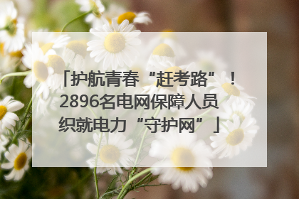 护航青春“赶考路”！2896名电网保障人员织就电力“守护网”