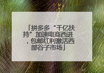 拼多多“千亿扶持”加速电商西进，包邮红利激活西部谷子市场