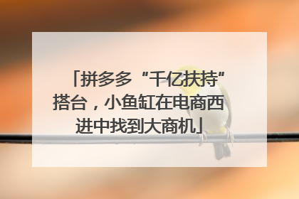 拼多多“千亿扶持”搭台，小鱼缸在电商西进中找到大商机