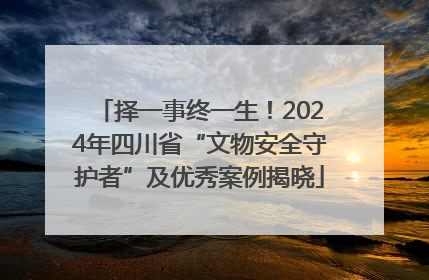 择一事终一生！2024年四川省“文物安全守护者”及优秀案例揭晓