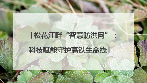 松花江畔“智慧防洪网”：科技赋能守护高铁生命线