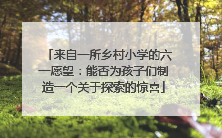 来自一所乡村小学的六一愿望：能否为孩子们制造一个关于探索的惊喜