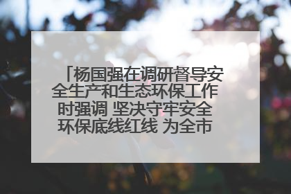 杨国强在调研督导安全生产和生态环保工作时强调 坚决守牢安全环保底线红线 为全市经济社会高质量发展提供坚强保障