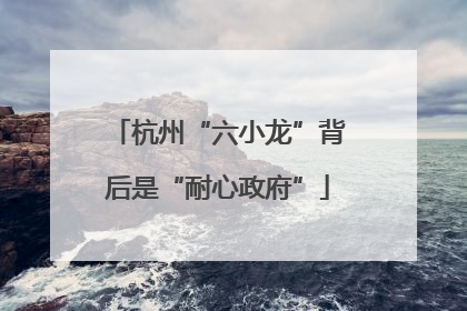 杭州“六小龙”背后是“耐心政府”