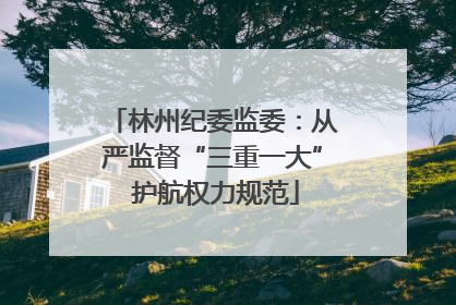 林州纪委监委：从严监督“三重一大” 护航权力规范
