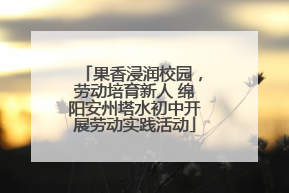 果香浸润校园，劳动培育新人 绵阳安州塔水初中开展劳动实践活动