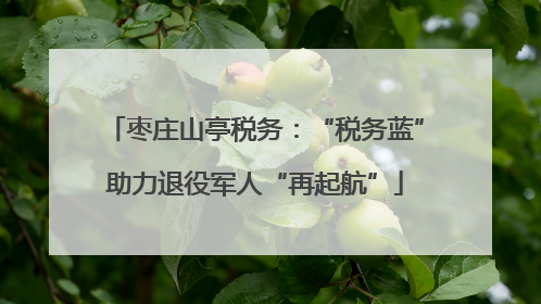 枣庄山亭税务：“税务蓝”助力退役军人“再起航”