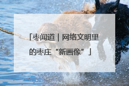 枣闻道｜网络文明里的枣庄“新画像”