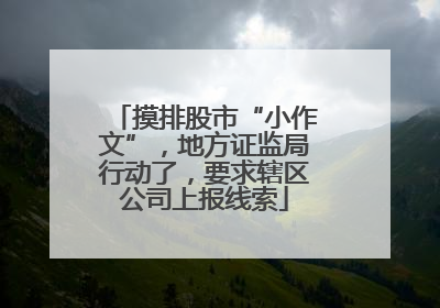 摸排股市“小作文”，地方证监局行动了，要求辖区公司上报线索