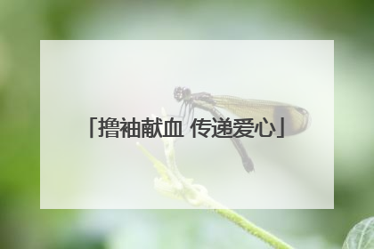 撸袖献血 传递爱心