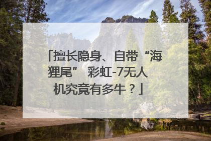 擅长隐身、自带“海狸尾” 彩虹-7无人机究竟有多牛？