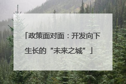 政策面对面：开发向下生长的“未来之城”
