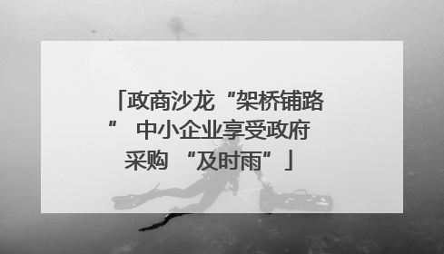 政商沙龙“架桥铺路” 中小企业享受政府采购 “及时雨”