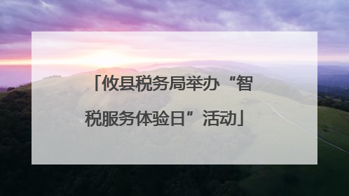 攸县税务局举办“智税服务体验日”活动