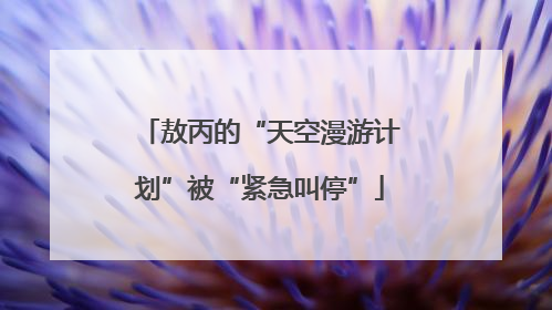 敖丙的“天空漫游计划”被“紧急叫停”