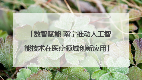 数智赋能 南宁推动人工智能技术在医疗领域创新应用