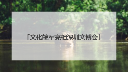 文化皖军亮相深圳文博会