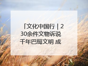 文化中国行｜230余件文物诉说千年巴蜀文明 成渝地区基建考古成果展开展