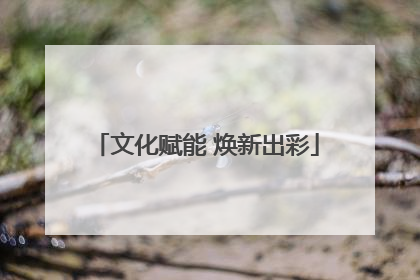 文化赋能 焕新出彩