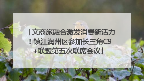 文商旅融合激发消费新活力！镇江润州区参加长三角C9+联盟第五次联席会议
