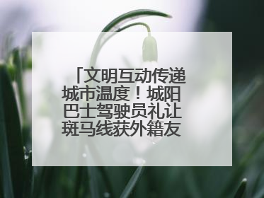 文明互动传递城市温度！城阳巴士驾驶员礼让斑马线获外籍友人鞠躬致谢