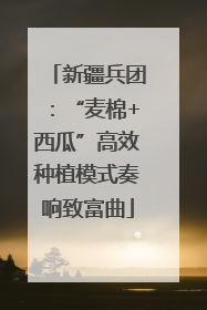 新疆兵团：“麦棉+西瓜”高效种植模式奏响致富曲