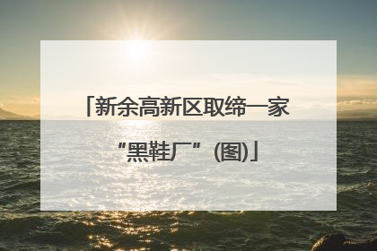 新余高新区取缔一家“黑鞋厂”(图)