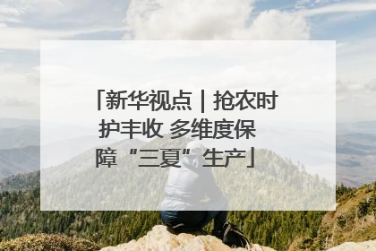 新华视点｜抢农时 护丰收 多维度保障“三夏”生产