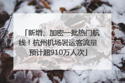 新增、加密一批热门航线！杭州机场暑运客流量预计超910万人次