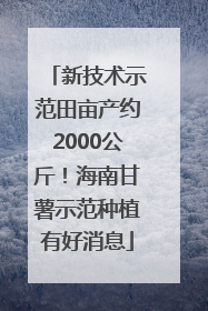 新技术示范田亩产约2000公斤！海南甘薯示范种植有好消息