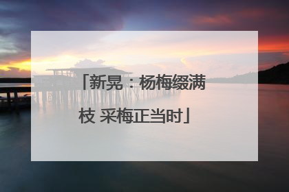 新晃：杨梅缀满枝 采梅正当时