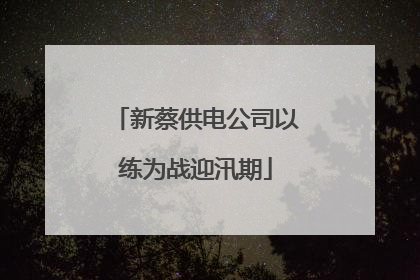 新蔡供电公司以练为战迎汛期