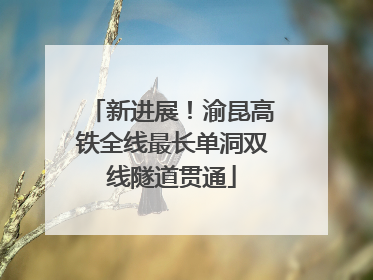 新进展！渝昆高铁全线最长单洞双线隧道贯通