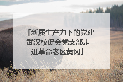 新质生产力下的党建 武汉校促会党支部走进革命老区黄冈