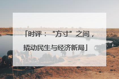 时评：“方寸”之间，撬动民生与经济新局