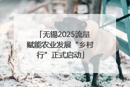 无锡2025流量赋能农业发展“乡村行”正式启动