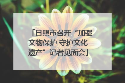 日照市召开“加强文物保护 守护文化遗产”记者见面会