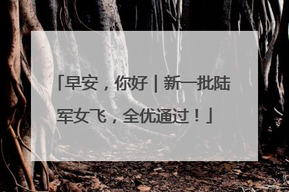 早安，你好｜新一批陆军女飞，全优通过！