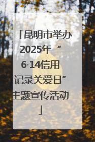 昆明市举办2025年“6·14信用记录关爱日”主题宣传活动