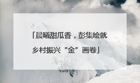 晨曦甜瓜香，彭集绘就乡村振兴“金”画卷