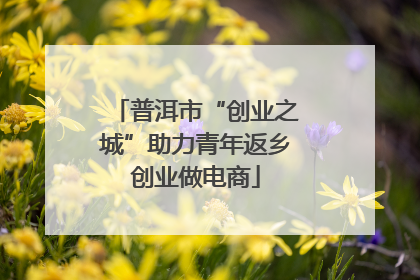普洱市“创业之城”助力青年返乡创业做电商