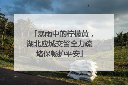暴雨中的柠檬黄，湖北应城交警全力疏堵保畅护平安