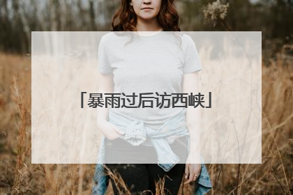 暴雨过后访西峡