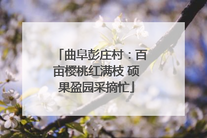 曲阜彭庄村：百亩樱桃红满枝 硕果盈园采摘忙