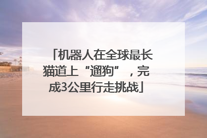 机器人在全球最长猫道上“遛狗”，完成3公里行走挑战
