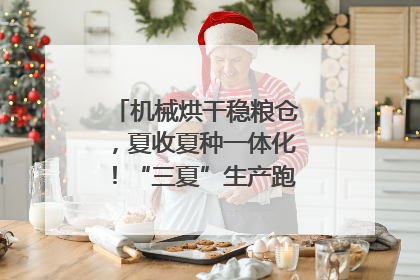 机械烘干稳粮仓，夏收夏种一体化！“三夏”生产跑出加速度｜麦报